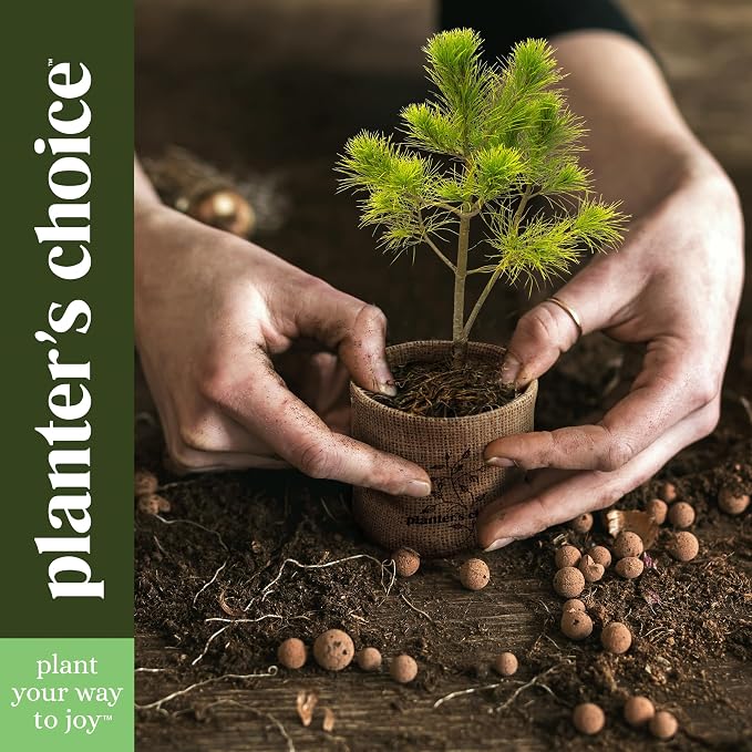 Planter's Choice Bonsai Tree Starter Kit - Image 8