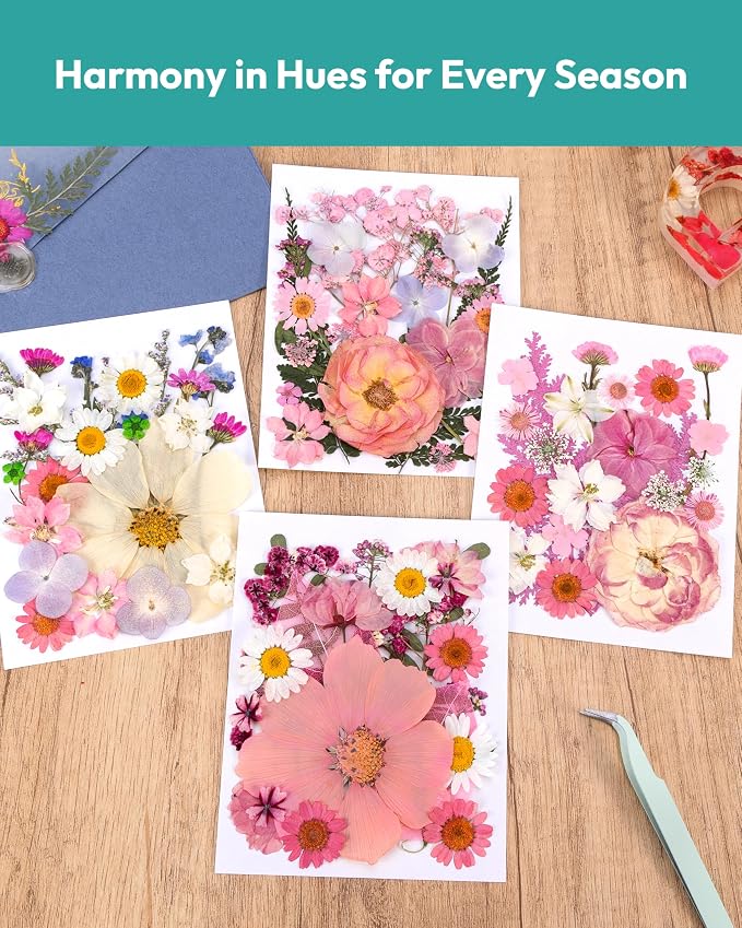 Dried Flowers, Resiners 100Pcs Pressed Flowers - Image 2