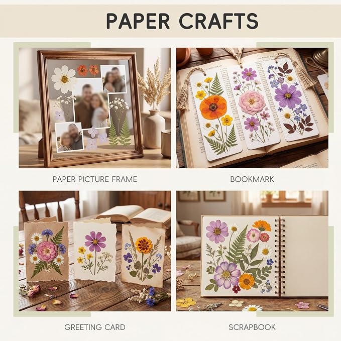 LUXEEASE 4 Color 120P Mixed Blooms Dried Pressed Flowers | Big small blooms - Image 5