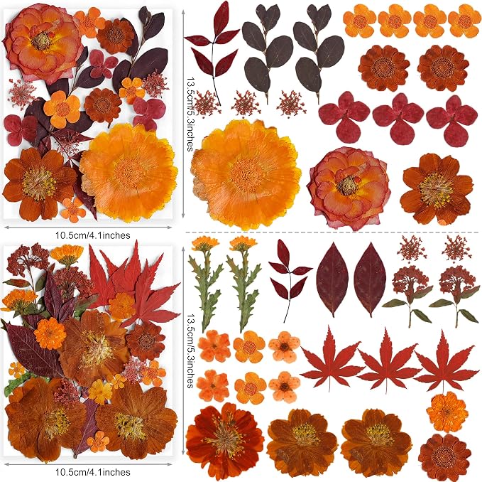 141PCS Brown Fall Dried Pressed Flowers - Image 3