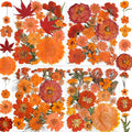 150PCS Orange Fall Dried Pressed Flowers by YouthBro