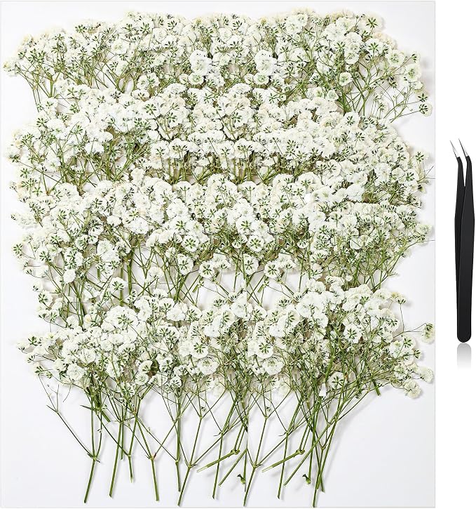 112Pcs Babys Breath Mini Dried Pressed Flowers by HLCYGJIN