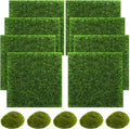 SNAIL GARDEN 13PCS Fairy Artificial Grass by SNAILGARDEN