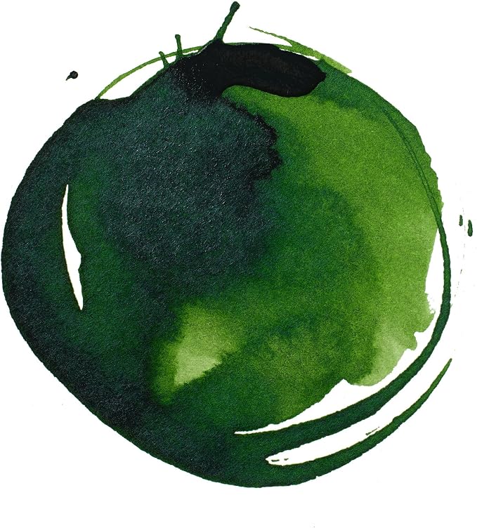 Liquitex Professional Acrylic Inks sap Green Permanent 315 30 ml - Image 2