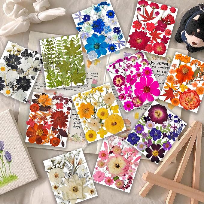 320PCS Dried Pressed Flowers Bulk - Image 2