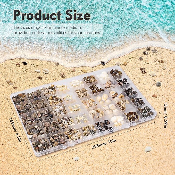 Small Sea Shells 1200Pcs Tiny Seashells Mixed Size Ocean Beach Starfish - Image 2