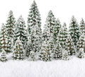 Skylety 35 Pieces Model Trees 6.3-1.2 Inch Mixed Miniature Trees Diorama by Skylety
