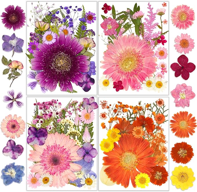 Dried Pressed Flowers, Resiners Dried Flowers by Resiners