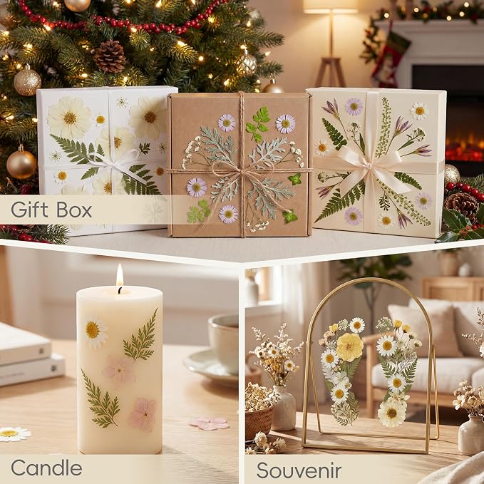 LUXEEASE 100P White Foliage Mix Dried Pressed Flowers | Blooms - Image 8