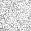 400 Pcs Silver Charms for Jewelry Making, Wholesale Bulk Lots Tiny Assorted by selizo