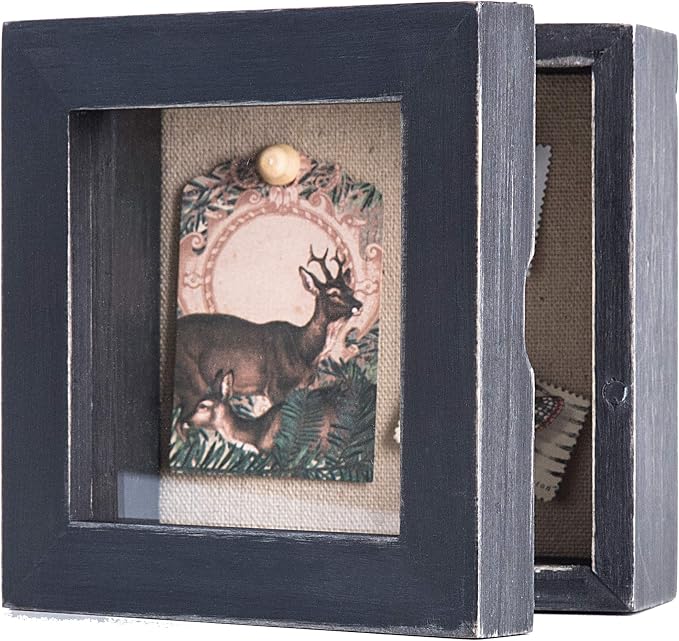 Freezing point Shadow Box Frame 5x5 Shadow Box Display Case Cabinet Picture - Image 3