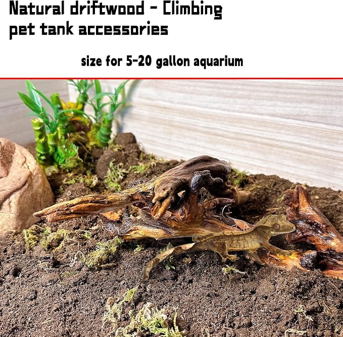 Hamiledyi 5PCS Driftwood for Aquarium Decor 3.5-7in Spider Wood Betta Fish Tank - Image 4