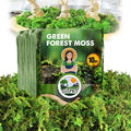 DUSPRO Green Forest Moss for Crafts, Real Dried Decorative Moss, 10 oz | Indoor by DUSPRO