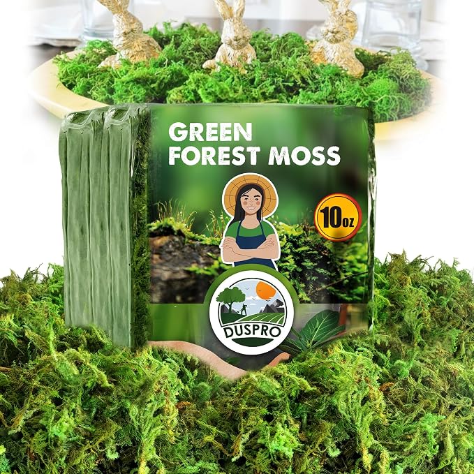 DUSPRO Green Forest Moss for Crafts, Real Dried Decorative Moss, 10 oz | Indoor by DUSPRO