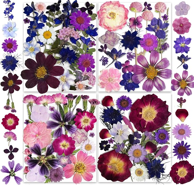 150PCS Purple Dried Pressed Flowers by YouthBro