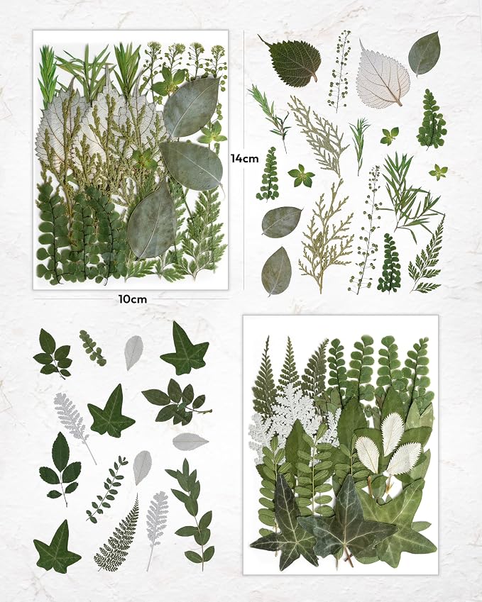 Resiners Dried Pressed Flowers for Resin Molds, Real Natural Dried Flowers Dry - Image 3