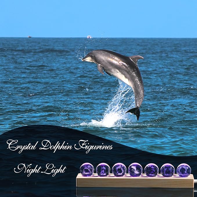Qianwei 3D Crystal Ball Dolphin Gifts - Image 3