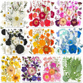 301Pcs Multi-Style Dried Pressed Flowers & Leaves by Unknown