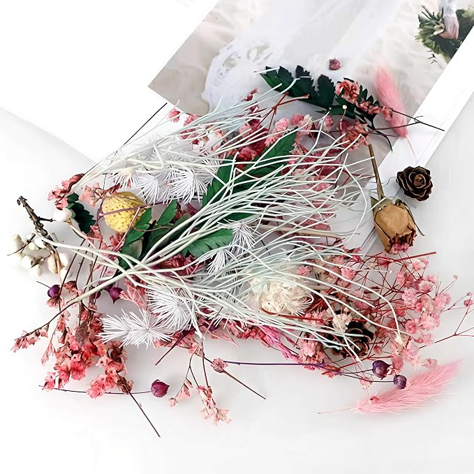 Dried Flower 2 Box DIY Natural Dried Flowers - Image 5