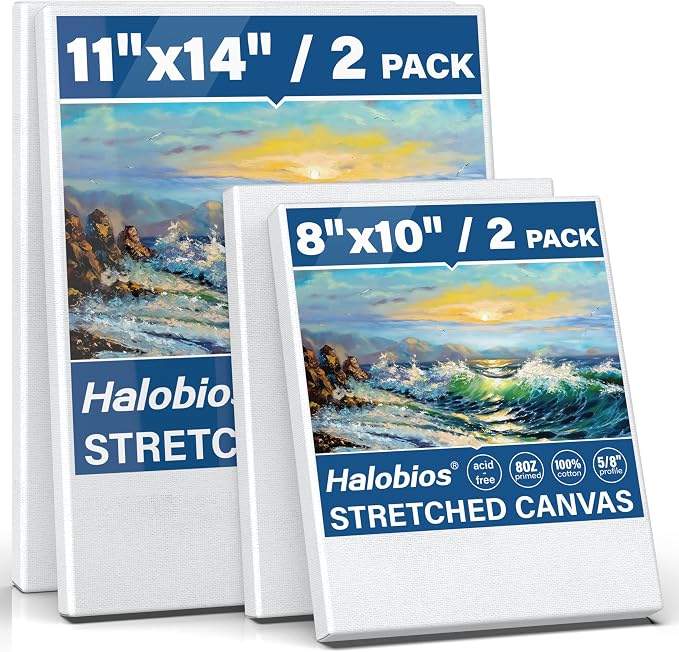 Halobios 4 Packs Blank Canvases by Halobios