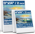 Halobios 4 Packs Blank Canvases by Halobios