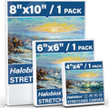 Halobios Stretched Canvases for Painting by Halobios