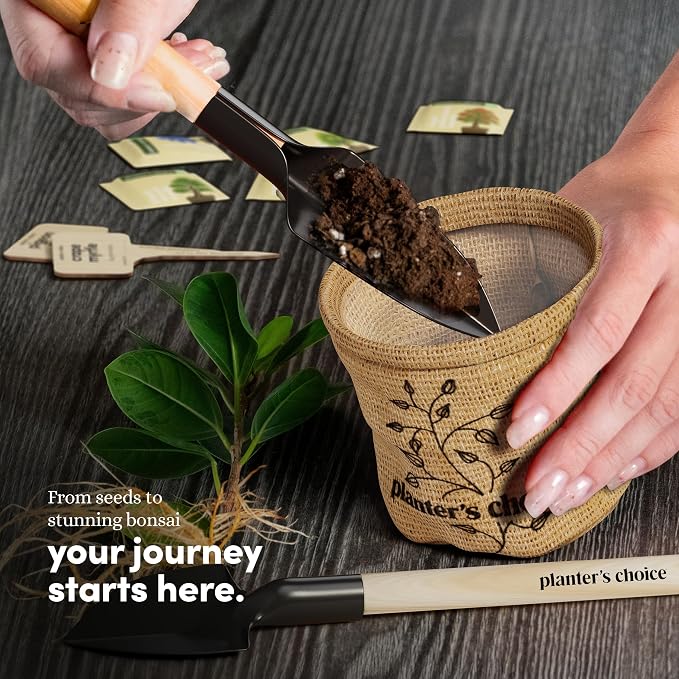 Planter's Choice Bonsai Tree Starter Kit - Image 2