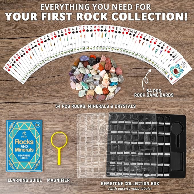 PIBEX Rock Collection Starter Kit - Image 8