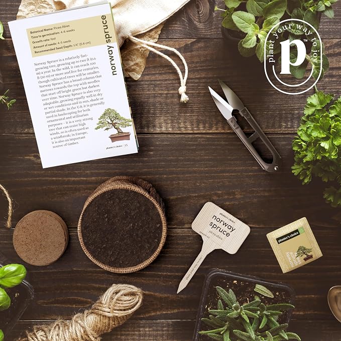 Planter's Choice Bonsai Tree Kit - Image 6