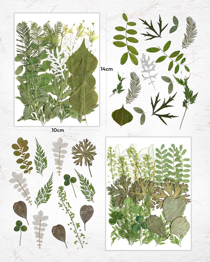 Resiners Dried Pressed Flowers for Resin Molds, Real Natural Dried Flowers Dry - Image 4