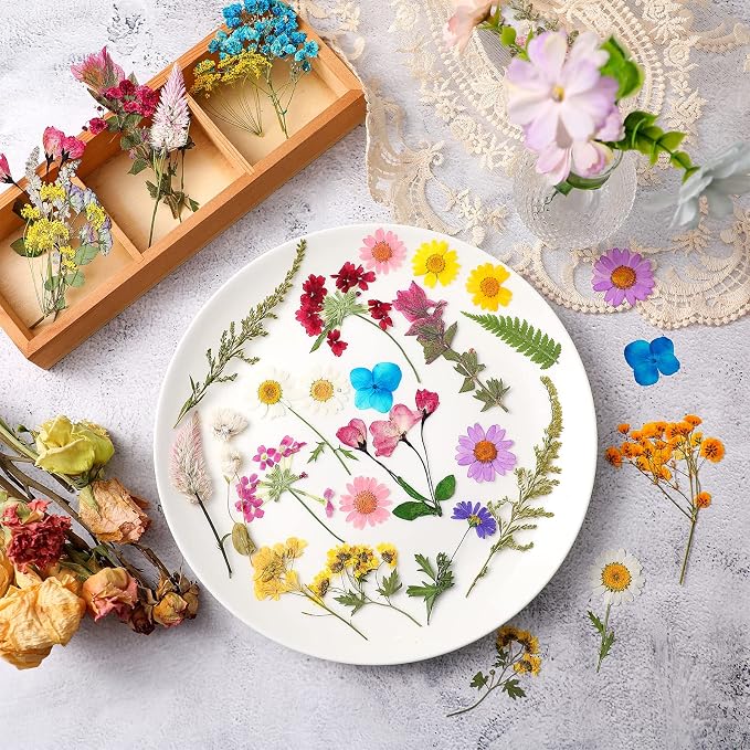 Nuanchu Pressed Flowers Bulk Dried Flower - Image 2