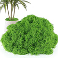 Fake Moss 10.6 oz, Artificial Moss by ASCAKE