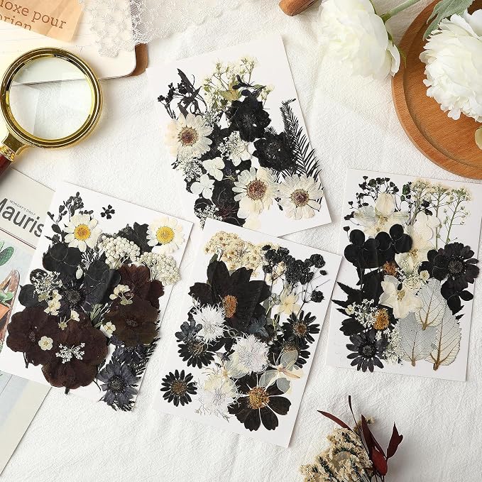 Augshy Black Dried Pressed Flowers, Scrapbooking, Soap Making - Image 6