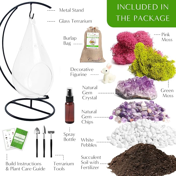 Creations by Nathalie DIY 7" DIY Teardrop Terrarium Kit - Image 4