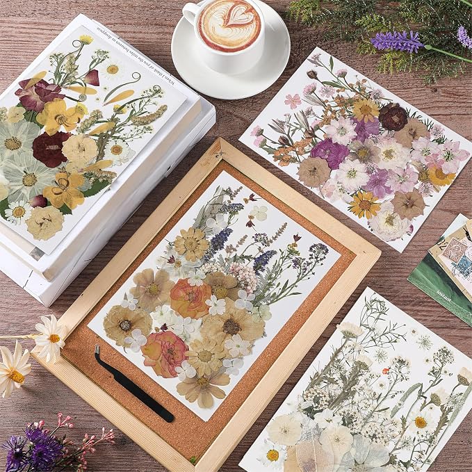Nuanchu 200 Pcs Pressed Flowers Bulk Dried Flower - Image 2