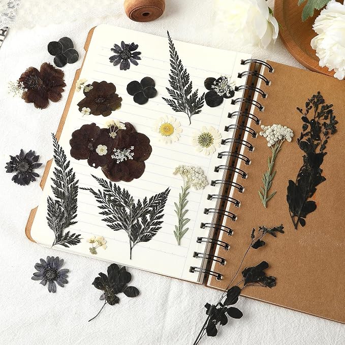 Augshy Black Dried Pressed Flowers, Scrapbooking, Soap Making - Image 3