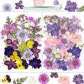 Dried Flowers, Resiners 58Pcs Pressed Flowers by Resiners