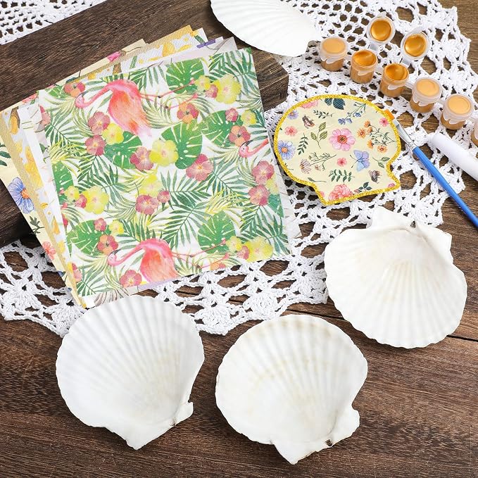 Halloscume 12 Set Scallop Shells - Image 4