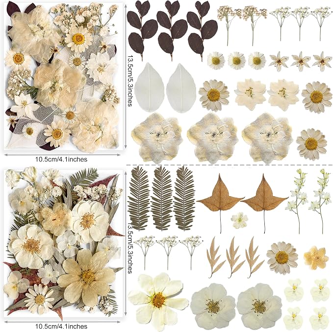 96PCS Vintage White Dried Pressed Flowers - Image 4