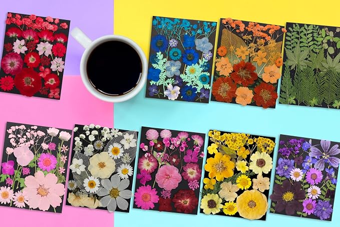 285Pcs 9 Packs Mixed Types Real Natural Dried Pressed Flowers & Leaves - Image 8