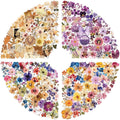 200PCS Transparent Flora Scrapbook Stickers, Vintage Aesthetic Flowers Sticker by Unknown