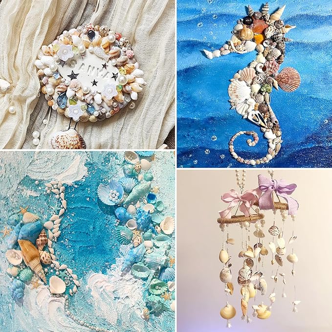 Fangoo 15 Types 800 Pcs Natural Tiny Mini Sea Shell Conch Starfish - Image 4