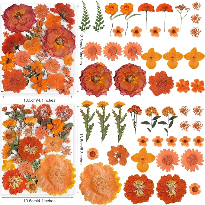 150PCS Orange Fall Dried Pressed Flowers - Image 3