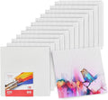 Artlicious Canvases for Painting by Artlicious