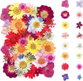 Dried Flowers, Kaluofan 45PCS Real Pressed Flowers, Dried Flowers by Kaluofan