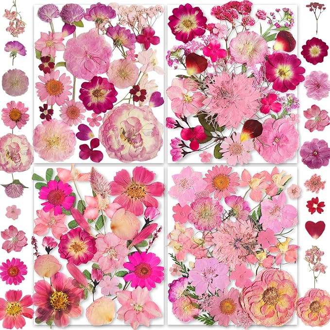 148PCS Pink Dried Pressed Flowers by YouthBro