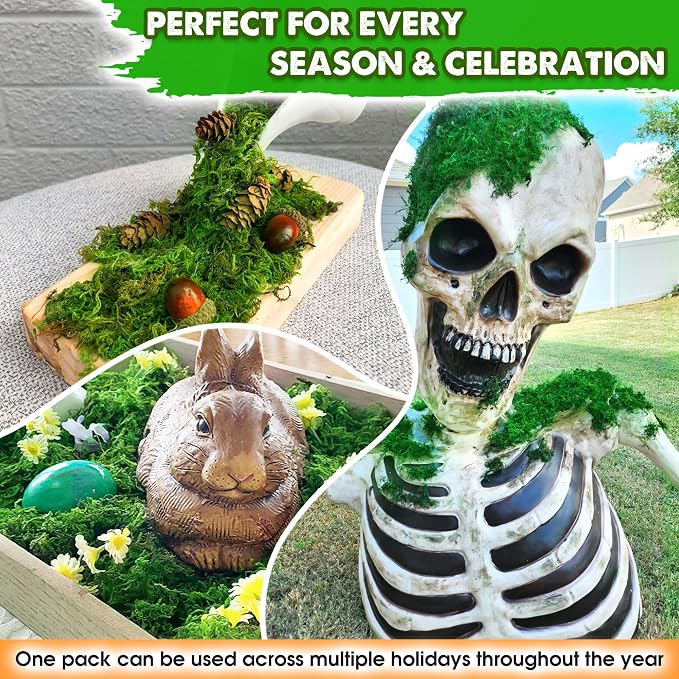DUSPRO Green Forest Moss for Crafts, Real Dried Decorative Moss, 5 oz | Indoor - Image 5