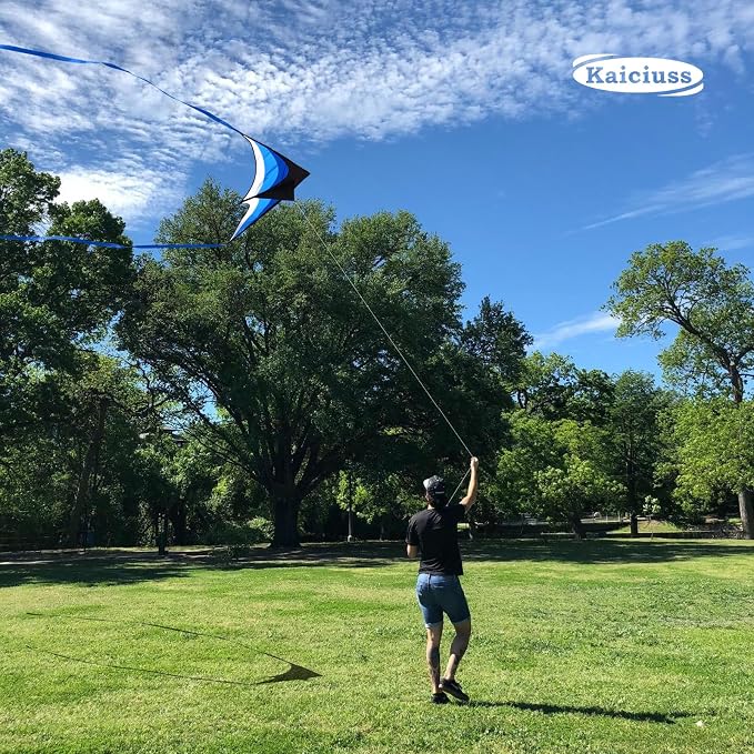 Large Single Line Beach Kite for Adults - Image 2