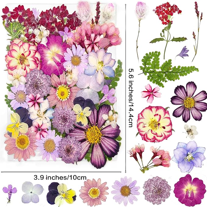 18 Types 37pcs Purple Dried Pressed Flowers - Image 2