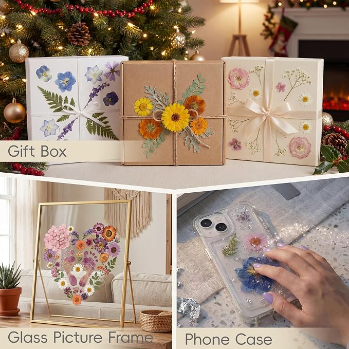 LUXEEASE 4-Color 100P Vibrant Dried Pressed Flowers | Vivid blue orange pink - Image 9